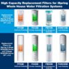 iSpring WGB21B-PB 2-Stage Whole House Water Filtration System