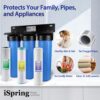 iSpring WGB32B-KDS Whole House Water Filter System