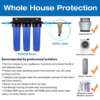 iSpring WSP-SL Whole House Reusable Spin Down Sediment Filter with Siliphos, Alternative Descaler