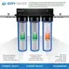 iSpring F6WGB32B 4.5“ x 20” Water Filter Replacement Set