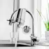iSpring DF2-CHR Faucet Water Filter