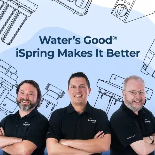 6 iSpring WDS80K Anti Scale 10" x 4.5" Whole House Water Filter with Patented Scale Inhibitor