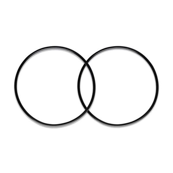 iSpring ORBX2 O-ring Replacement for WGB32B and WGB22B Series