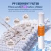 F3WCB32KS (2) iSpring F3WCB32KS 20" x 2.5" Whole House Water Filters for WCB32 Series Systems