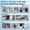iSpring WGB21B-CPB Whole House Water Filtration System, Arsenic, Cadmium, Mercury, Chlorine, Lead